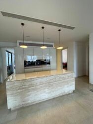 Trilight (D11), Condominium #478609091
